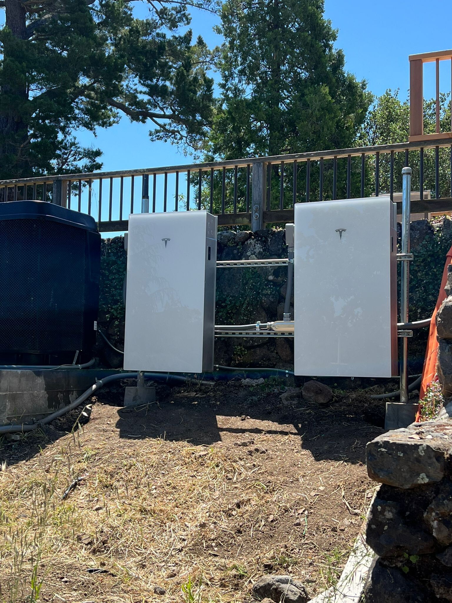 Zemelman_PW3_closeup